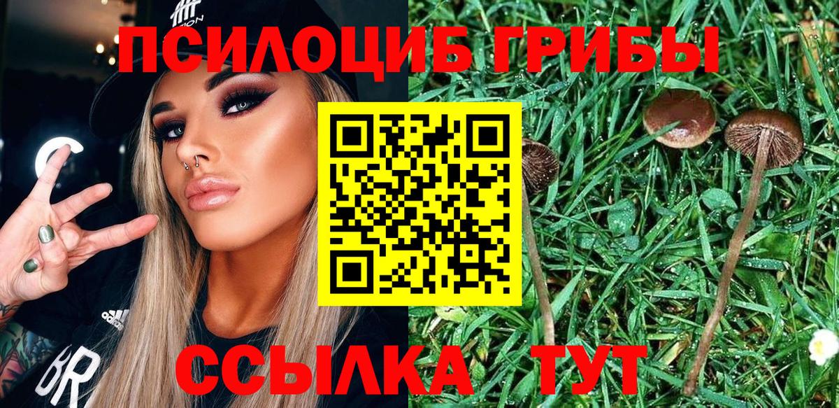 Псилоцибиновые грибы Cubensis Ангарск