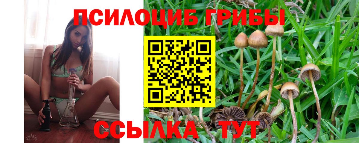 Псилоцибиновые грибы мухоморы  Вход с VPN  хочу   Ангарск 